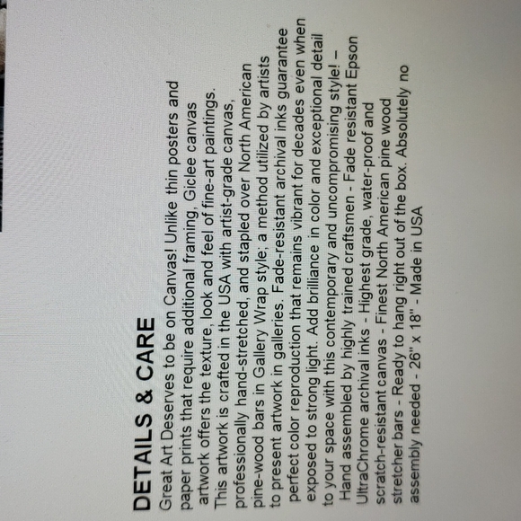 NEW ICANVAS Dream Escape by Caia Koopman - Picture 3 of 3